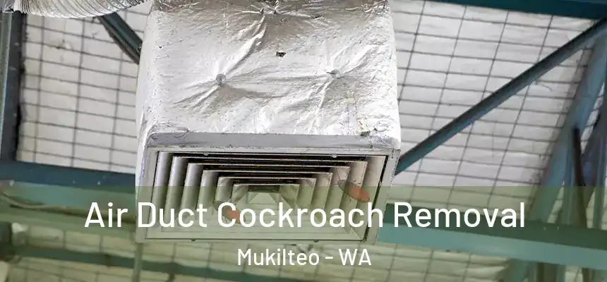  Air Duct Cockroach Removal Mukilteo - WA
