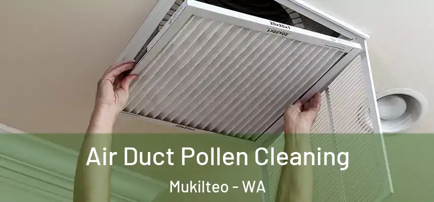  Air Duct Pollen Cleaning Mukilteo - WA