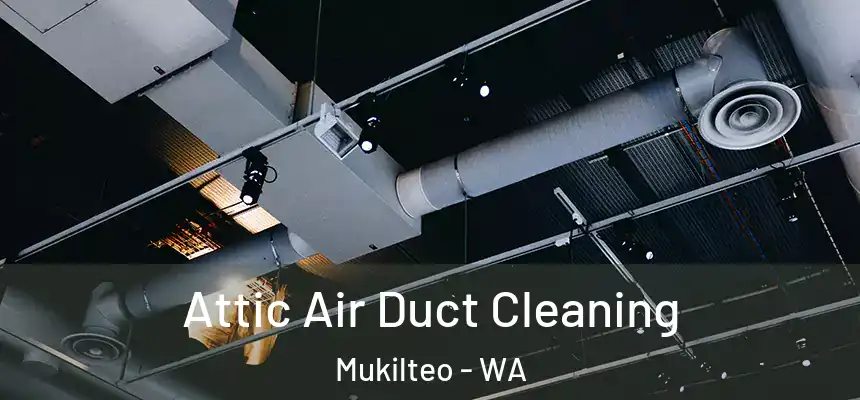  Attic Air Duct Cleaning Mukilteo - WA