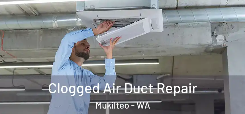  Clogged Air Duct Repair Mukilteo - WA