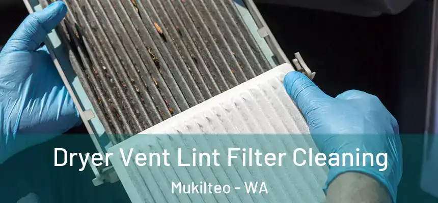  Dryer Vent Lint Filter Cleaning Mukilteo - WA