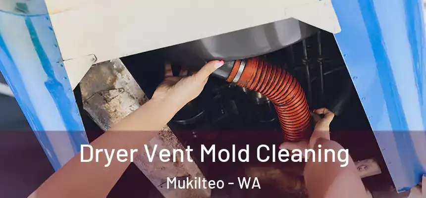  Dryer Vent Mold Cleaning Mukilteo - WA