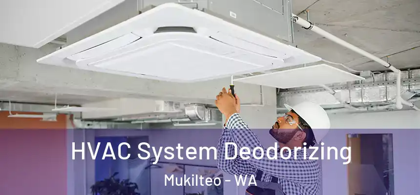  HVAC System Deodorizing Mukilteo - WA