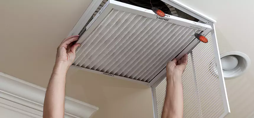 Preventive Cockroach-Proofing for Ducts in Mukilteo