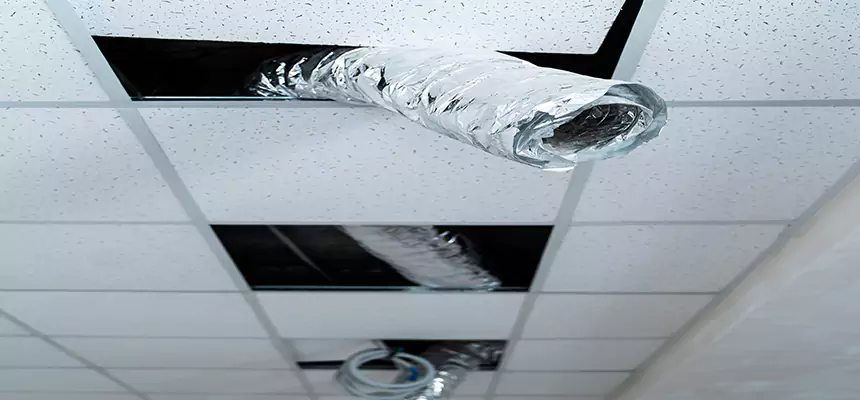 Affordable HVAC Sanitizing After Pest Removal in Mukilteo