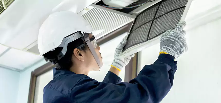 Our Mold & Mildew Removal from Air Ducts Services in Mukilteo, WA