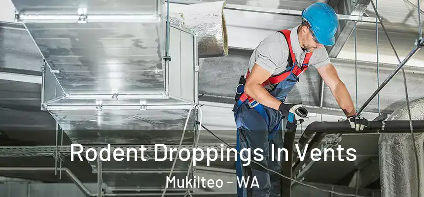  Rodent Droppings In Vents Mukilteo - WA