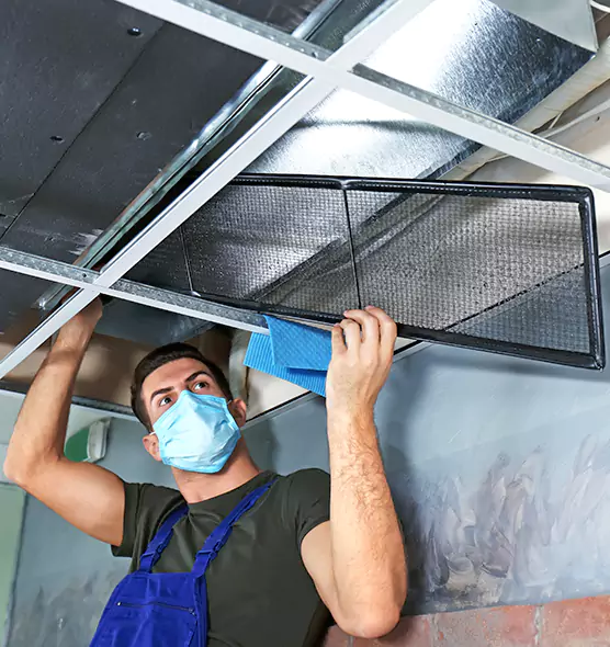 About Air Duct Bacteria Removal in Mukilteo