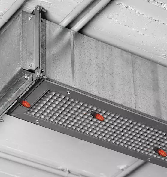 About Air Duct Cockroach Removal in Mukilteo, WA