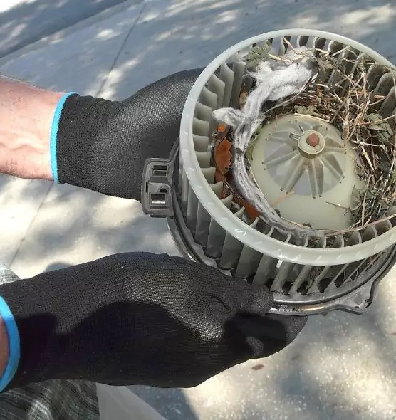 About Air Duct Rat Removal in Mukilteo, WA