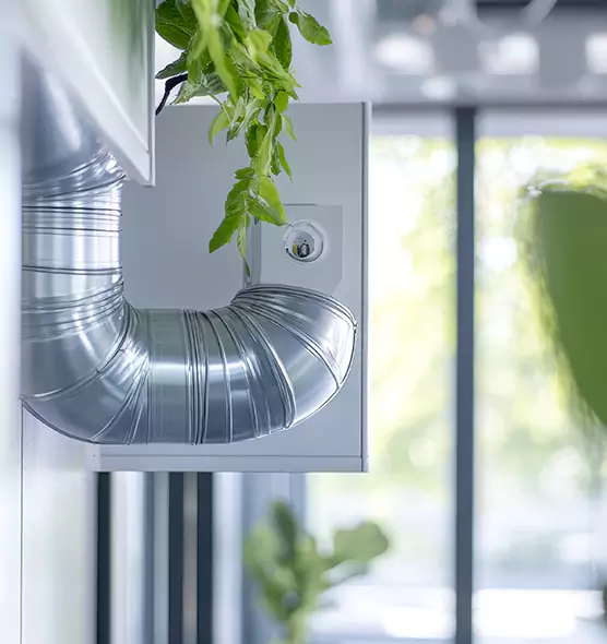 Professional Eco-Friendly Duct Cleaning Services in Mukilteo, WA