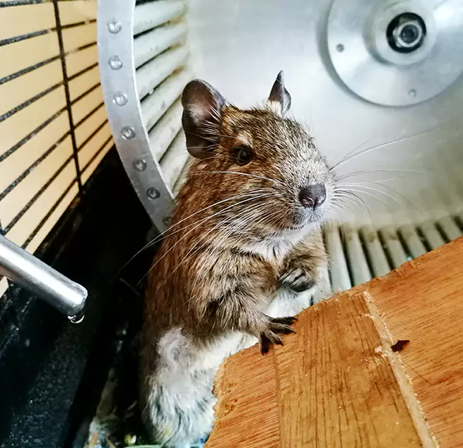 Why Homeowners & Businesses Trust Us Mukilteo, WA?