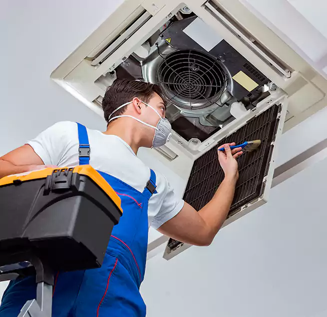 Why Homeowners & Businesses Trust Us in Mukilteo, WA