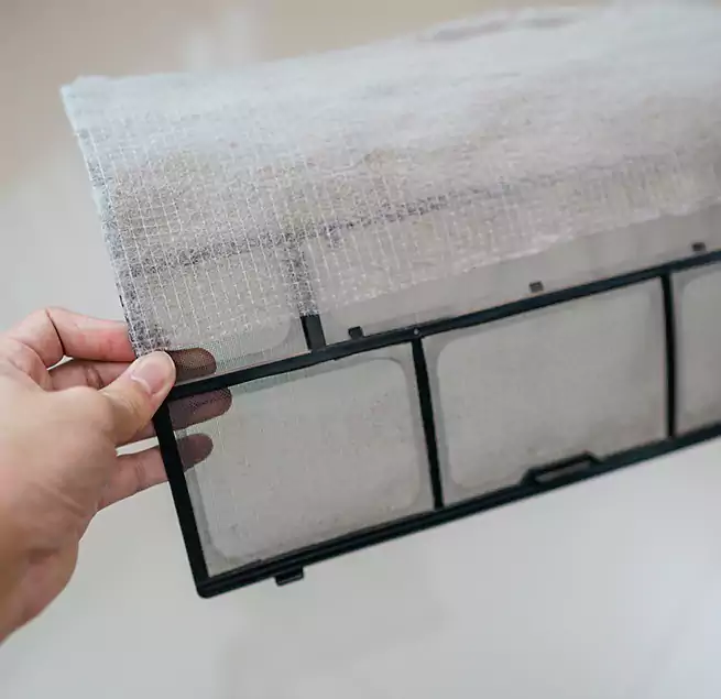 Why Homeowners & Businesses Trust Us in Mukilteo, WA?