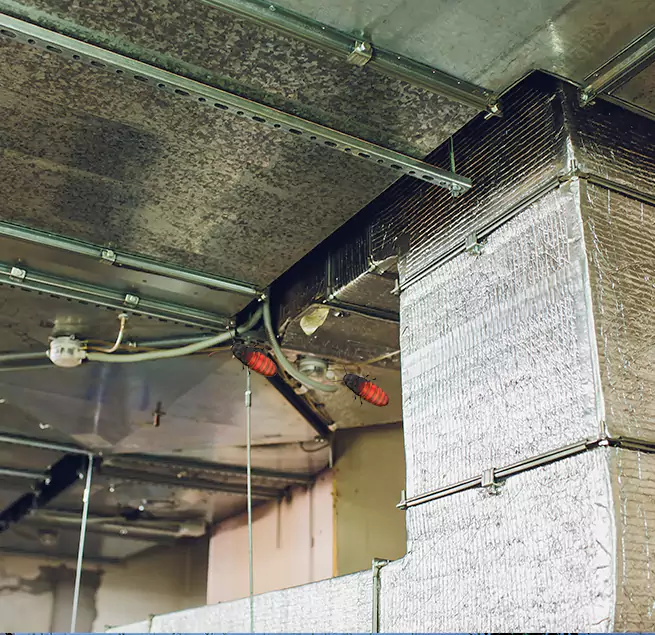 Why Homeowners & Businesses Trust Us Mukilteo, WA?