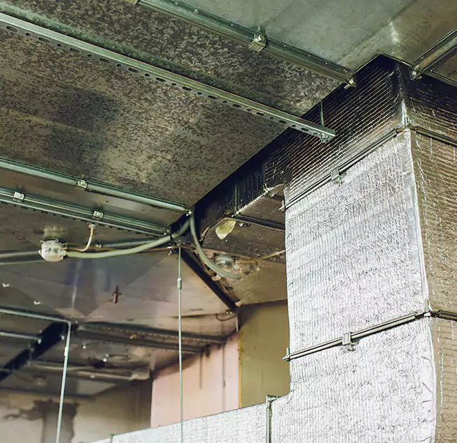 Why Homeowners & Businesses Trust Us in Mukilteo, WA?